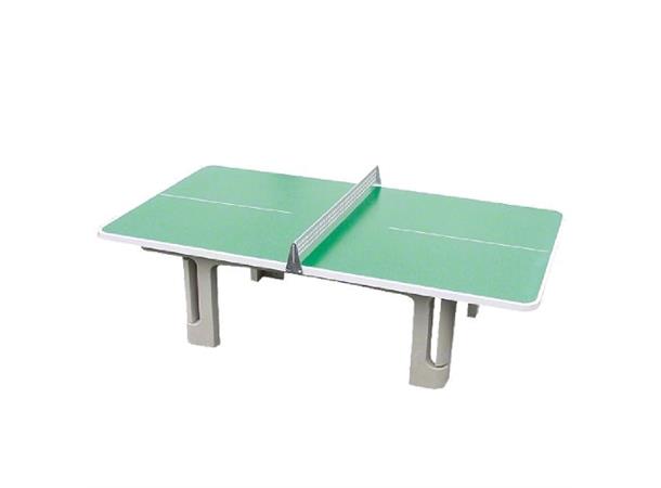 Bordtennisbord Champion Utendørs | Grønn | Med nett